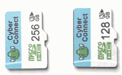 Micro SD Card